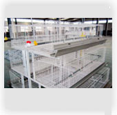 Welded Wire Mesh